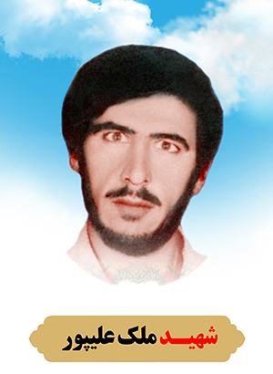 تصویر شهید ملک علیپور